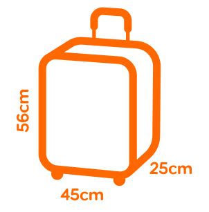 groot handbagage easyjet